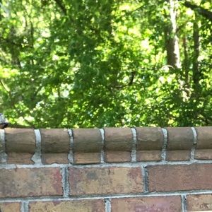 Meet your Posher, Tyra